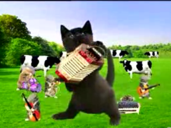 It's a Kitten Jamboree!
